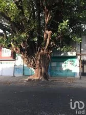 NEX-204201 - Bodega en Renta, con 6 recamaras, con 4 baños, con 379 m2 de construcción en San Felipe, CP 44380, Jalisco.