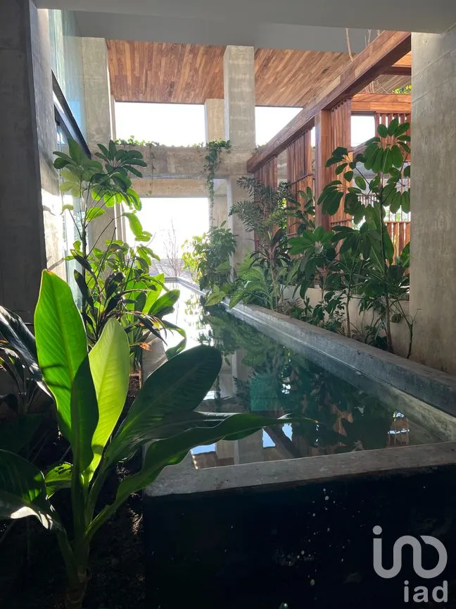 Departamento en Venta en Cabo Norte, Mérida, Yucatán | NEX-241507 | iad México | Foto 6 de 24