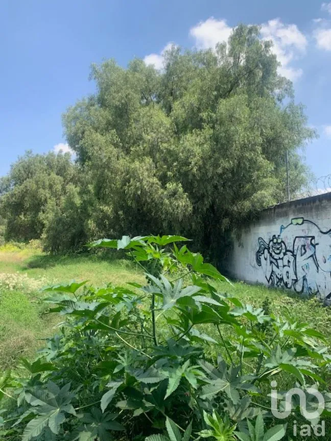 Terreno en Venta en Ex-Hacienda San Miguel, Cuautitlán Izcalli, México | NEX-264772 | iad México | Foto 11 de 14