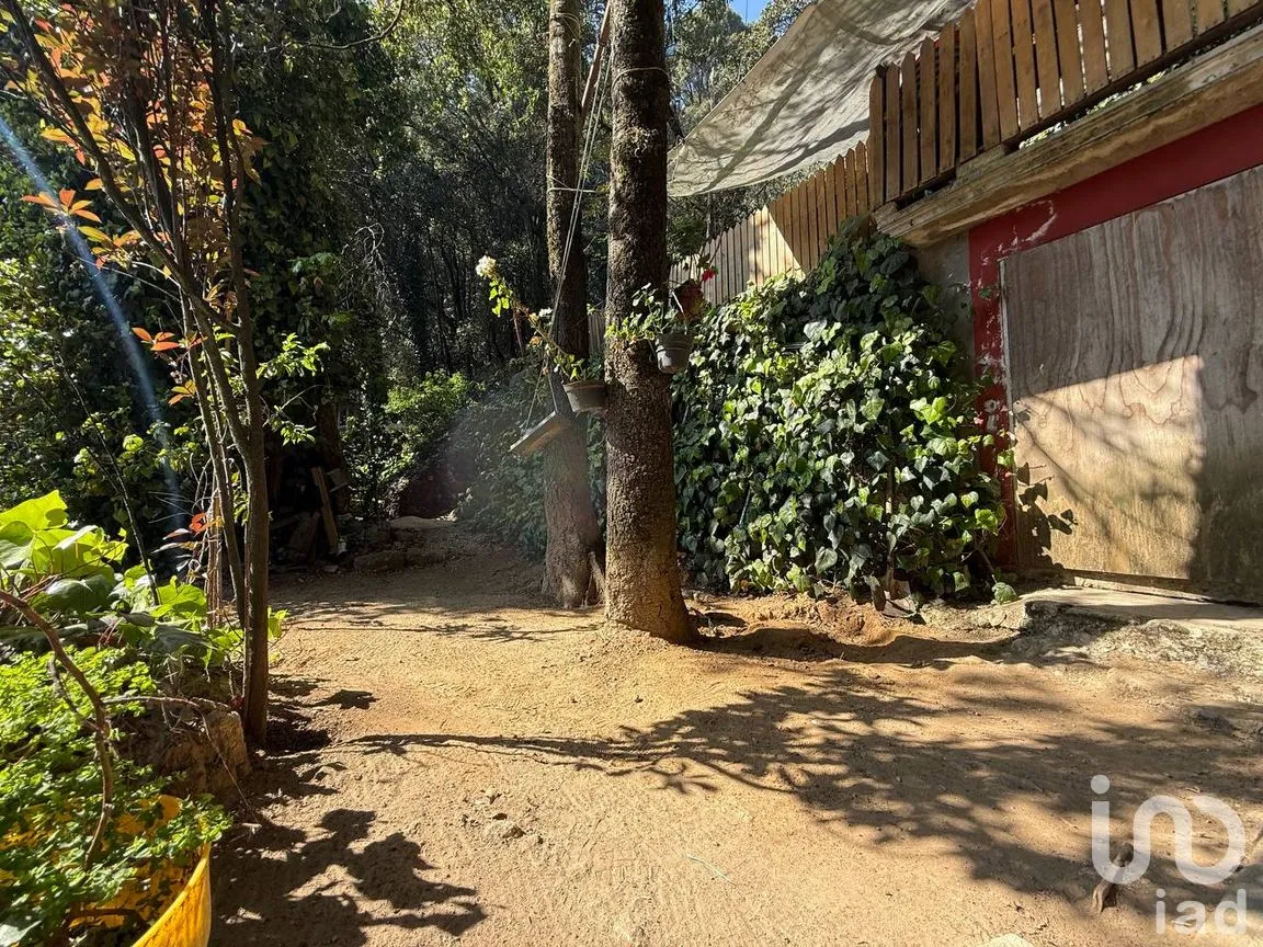 Casa en Venta en Yongua Bosques, Naucalpan de Juárez, México | NEX-265171 | iad México | Foto 36 de 38