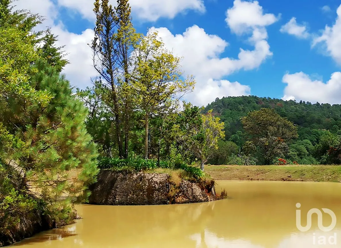 Rancho en Venta en Cochisquila, Coatepec Harinas, México | NEX-210104 | iad México | Foto 2 de 22
