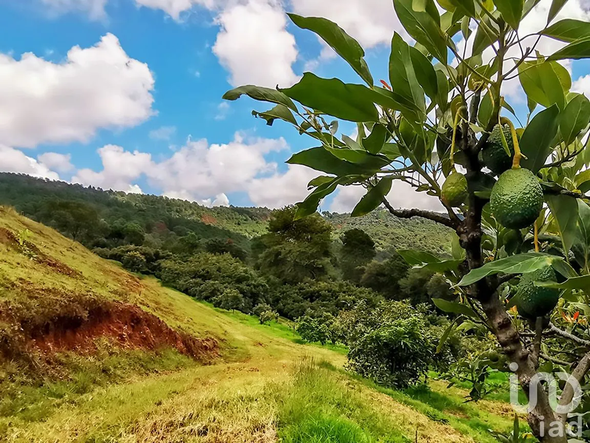 Rancho en Venta en Cochisquila, Coatepec Harinas, México | NEX-210104 | iad México | Foto 11 de 22
