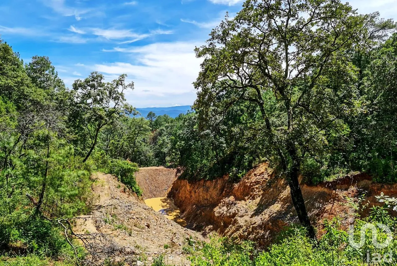 Rancho en Venta en Cochisquila, Coatepec Harinas, México | NEX-210104 | iad México | Foto 12 de 22