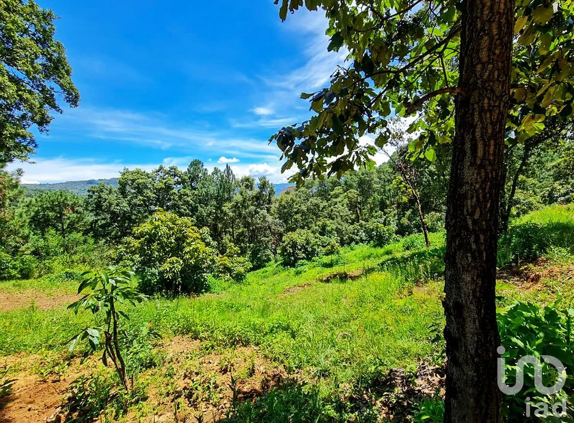 Rancho en Venta en Cochisquila, Coatepec Harinas, México | NEX-210104 | iad México | Foto 13 de 22