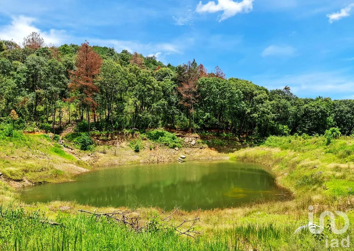 Rancho en Venta en Cochisquila, Coatepec Harinas, México | NEX-210104 | iad México | Foto 14 de 22