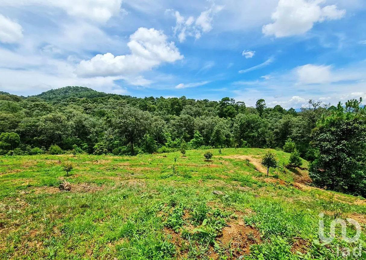Rancho en Venta en Cochisquila, Coatepec Harinas, México | NEX-210104 | iad México | Foto 17 de 22