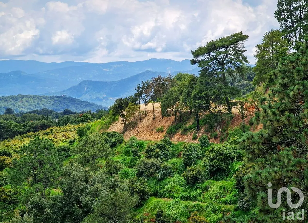 Rancho en Venta en Cochisquila, Coatepec Harinas, México | NEX-210104 | iad México | Foto 18 de 22