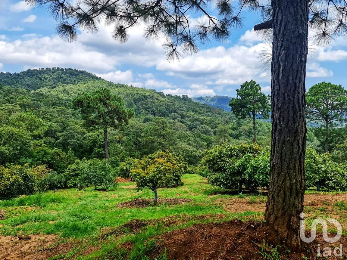 Rancho en Venta en Cochisquila, Coatepec Harinas, México | NEX-210104 | iad México | Foto 20 de 22