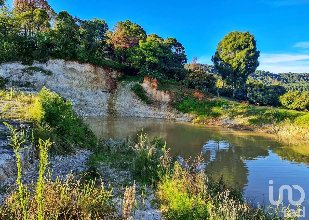 Rancho en Venta en Cochisquila, Coatepec Harinas, México | NEX-210104 | iad México | Foto 21 de 22
