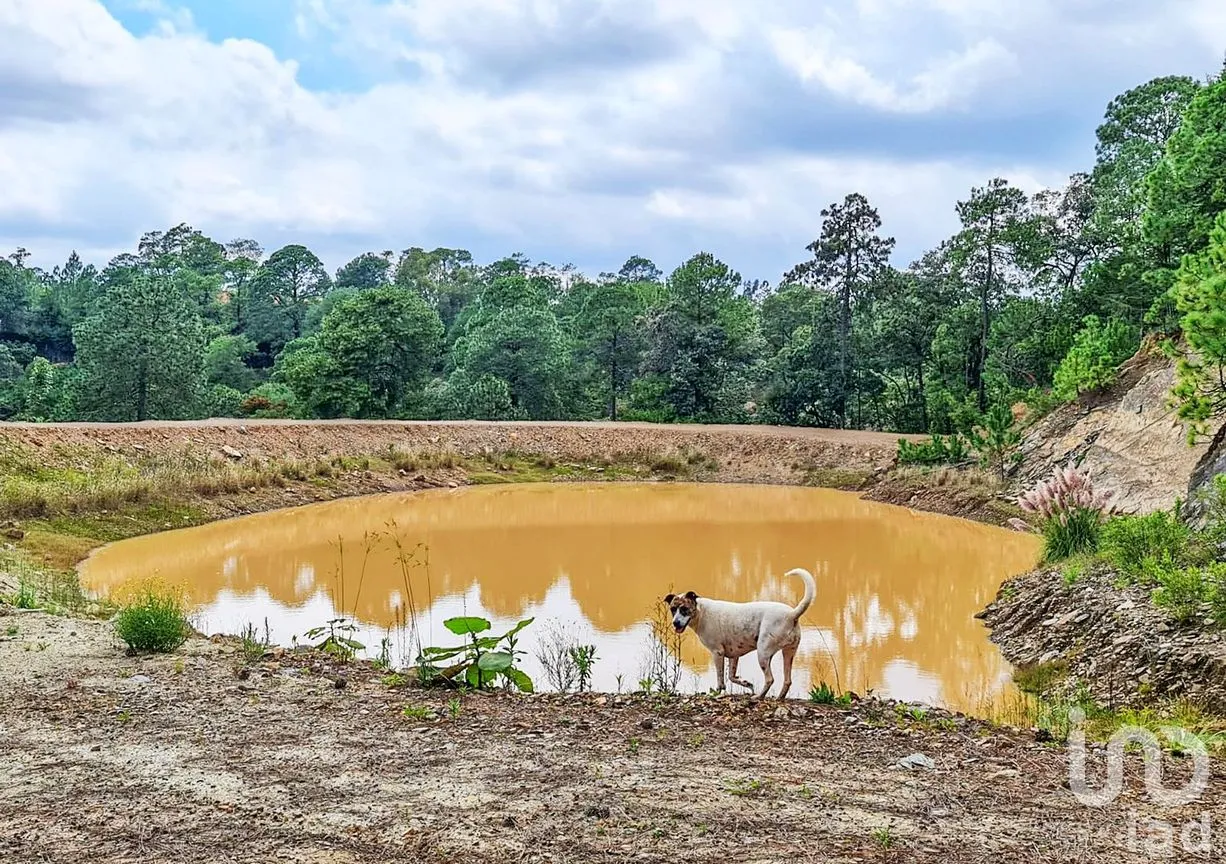 Rancho en Venta en Cochisquila, Coatepec Harinas, México | NEX-210104 | iad México | Foto 22 de 22