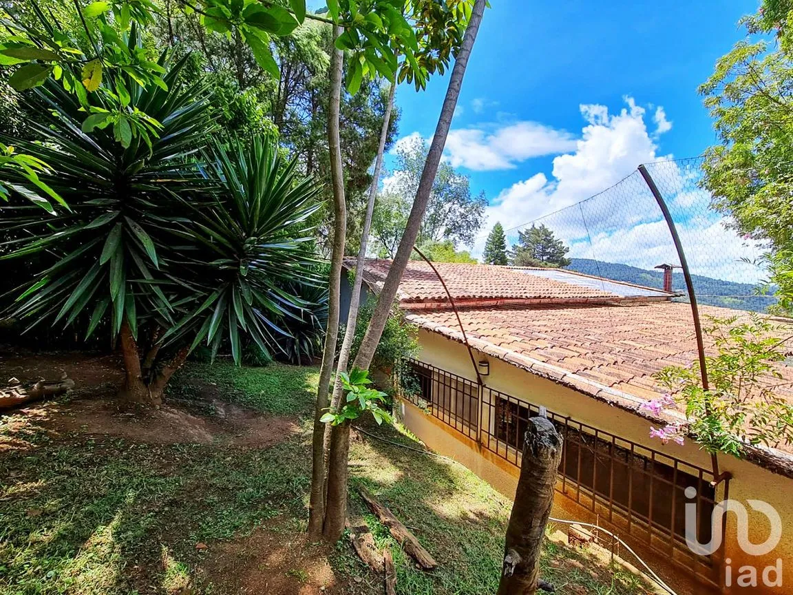 Rancho en Venta en Cochisquila, Coatepec Harinas, México | NEX-210104 | iad México | Foto 7 de 22