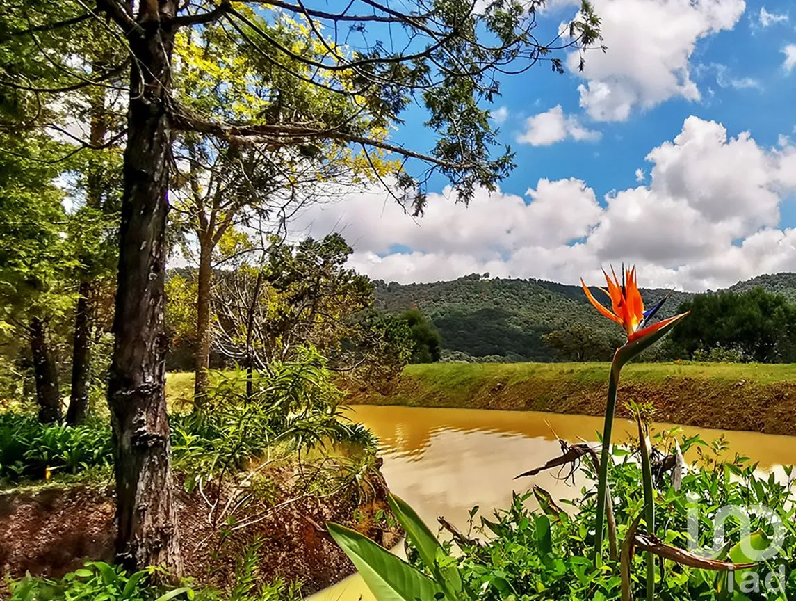 Rancho en Venta en Cochisquila, Coatepec Harinas, México | NEX-210104 | iad México | Foto 1 de 22