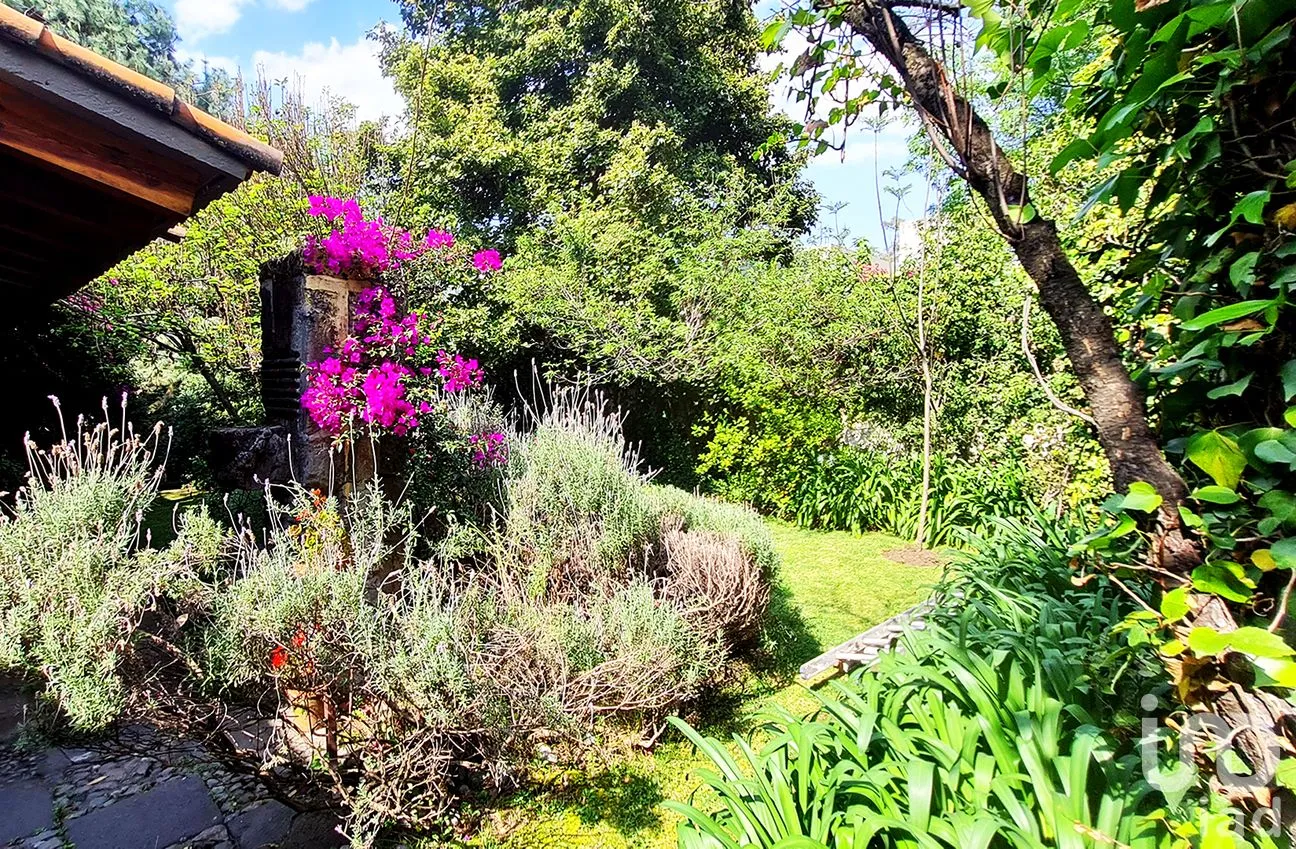 Casa en Venta en Paseo de las Lomas, Álvaro Obregón, Ciudad de México | NEX-242346 | iad México | Foto 21 de 50