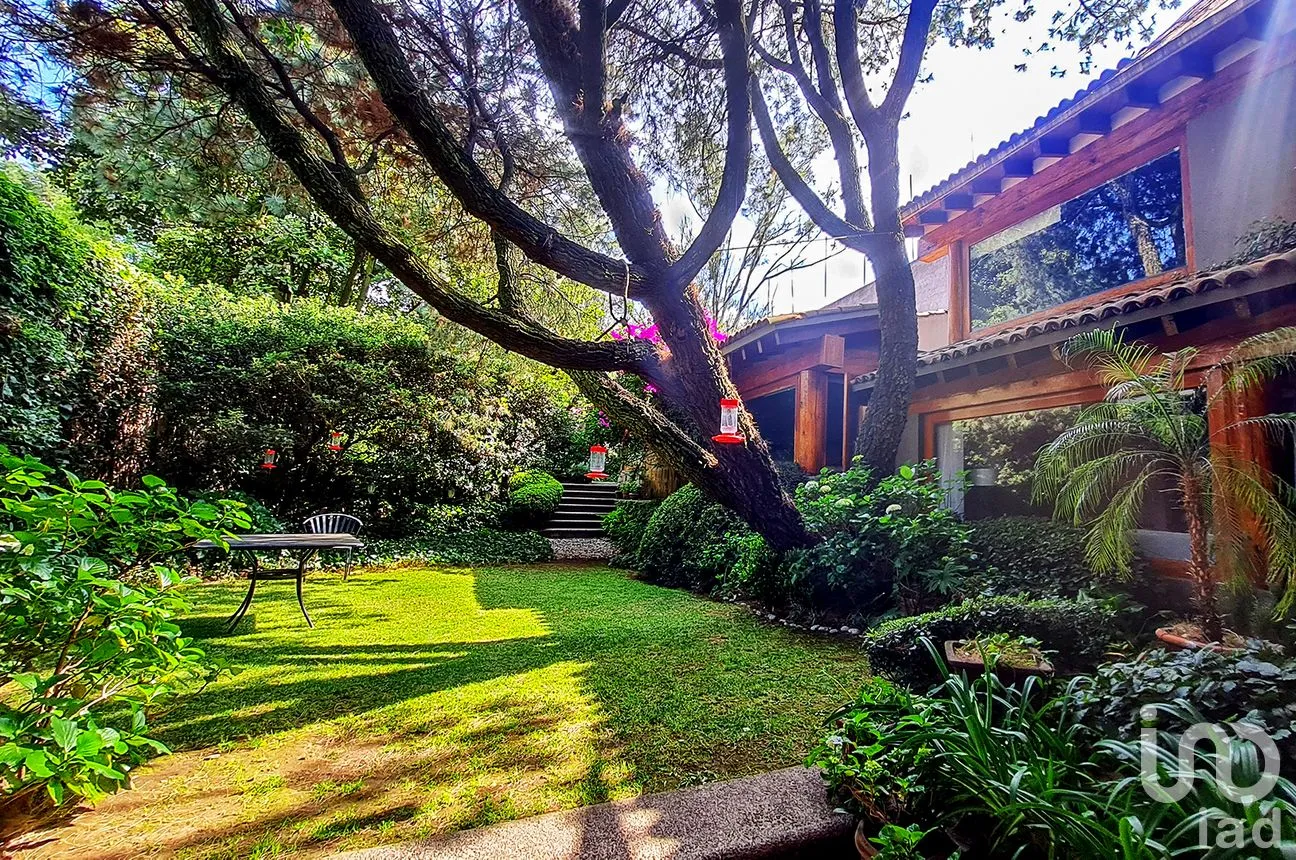 Casa en Venta en Paseo de las Lomas, Álvaro Obregón, Ciudad de México | NEX-242346 | iad México | Foto 4 de 50