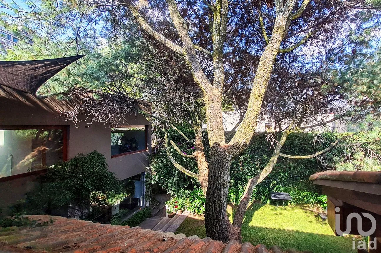 Casa en Venta en Paseo de las Lomas, Álvaro Obregón, Ciudad de México | NEX-242346 | iad México | Foto 38 de 50
