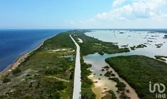 NEX-255912 - Terreno en Venta en Santa Clara, CP 97504, Yucatán.