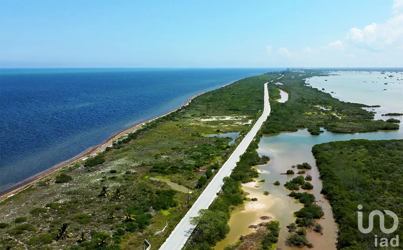Terreno en Venta en Santa Clara, Dzidzantún, Yucatán | NEX-256418 | iad México | Foto 3 de 8