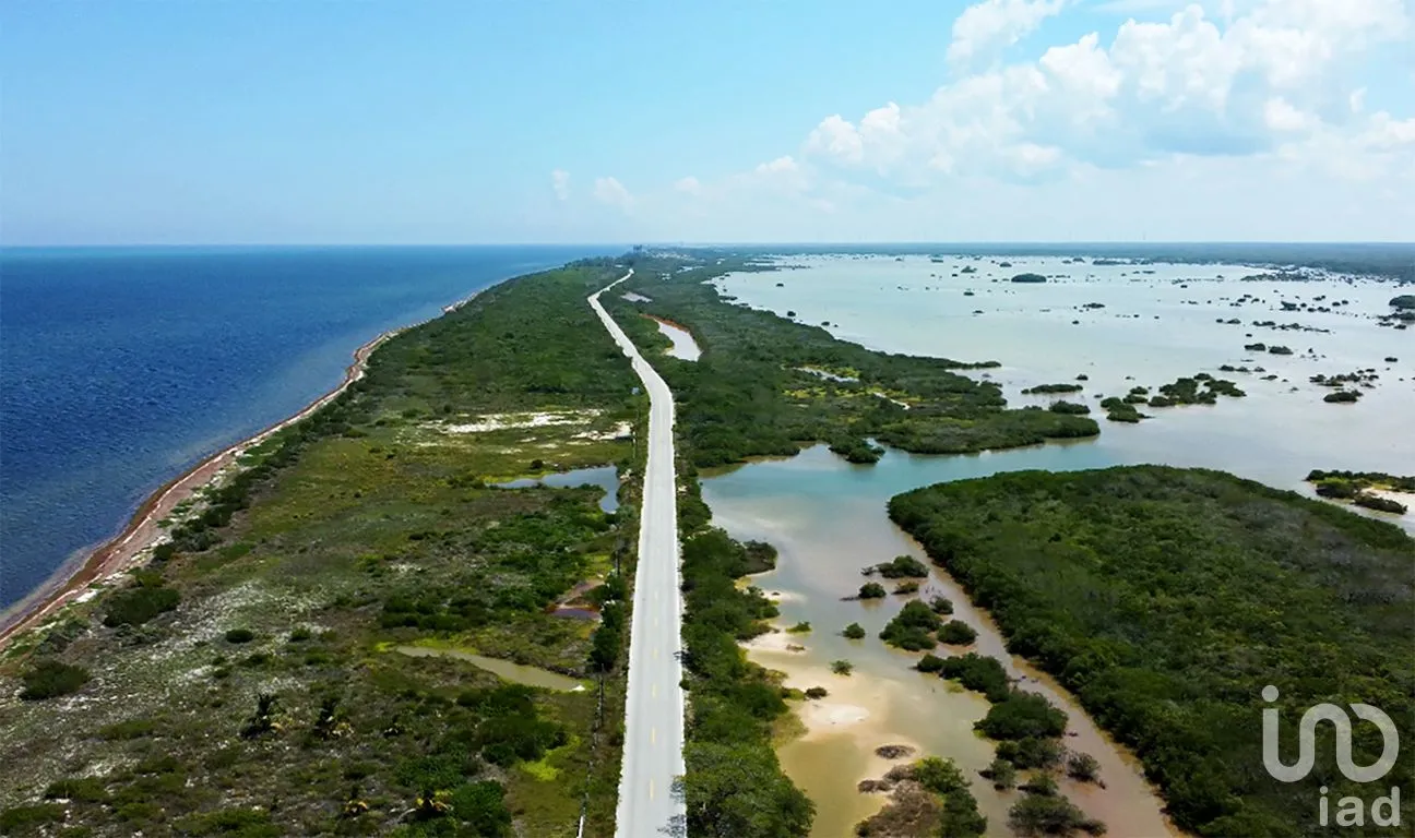 Terreno en Venta en Santa Clara, Dzidzantún, Yucatán | NEX-256418 | iad México | Foto 4 de 8