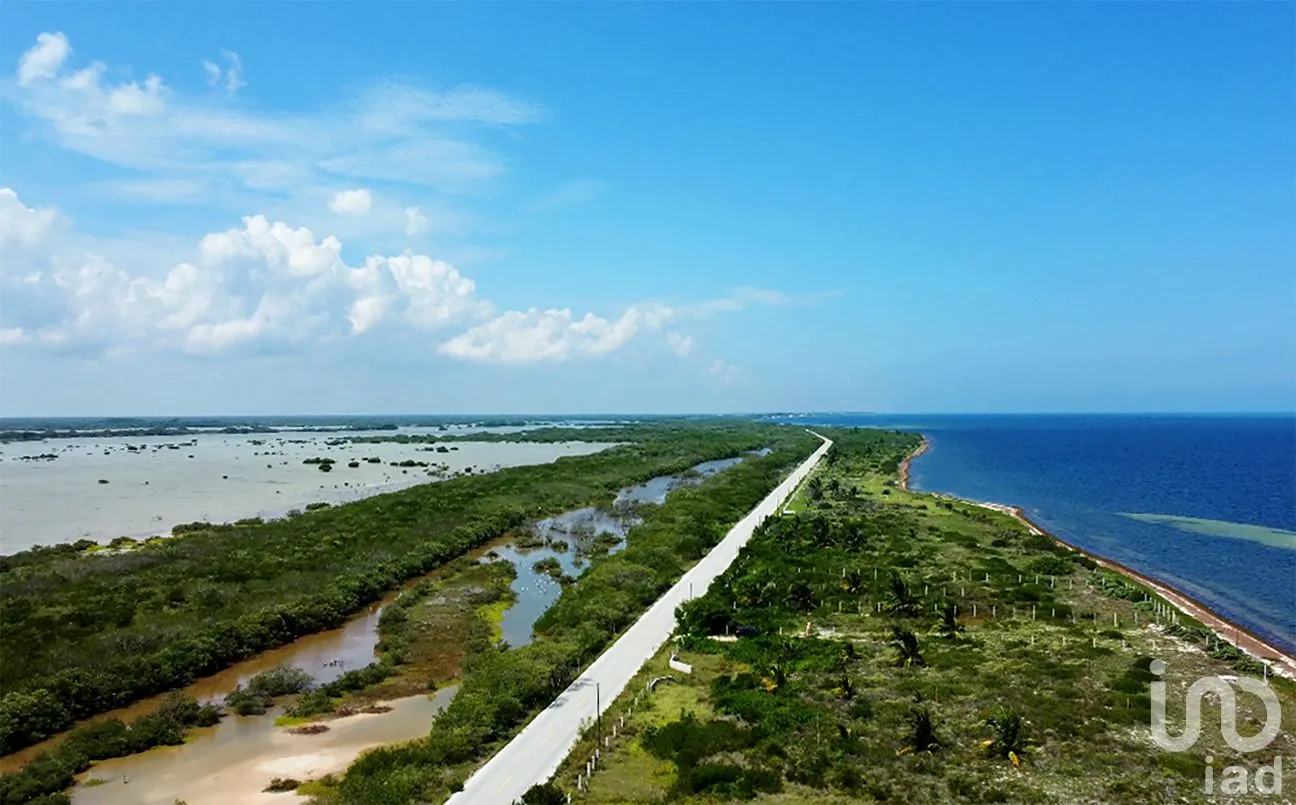 Terreno en Venta en Santa Clara, Dzidzantún, Yucatán | NEX-256418 | iad México | Foto 6 de 8