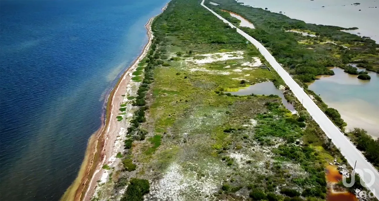 Terreno en Venta en Santa Clara, Dzidzantún, Yucatán | NEX-256419 | iad México | Foto 1 de 8