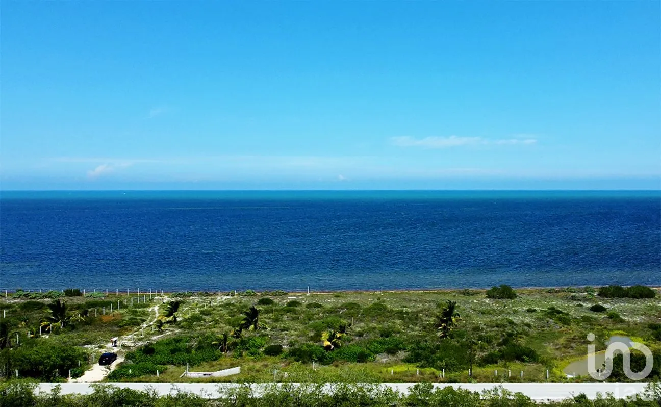 Terreno en Venta en Santa Clara, Dzidzantún, Yucatán | NEX-256421 | iad México | Foto 14 de 19