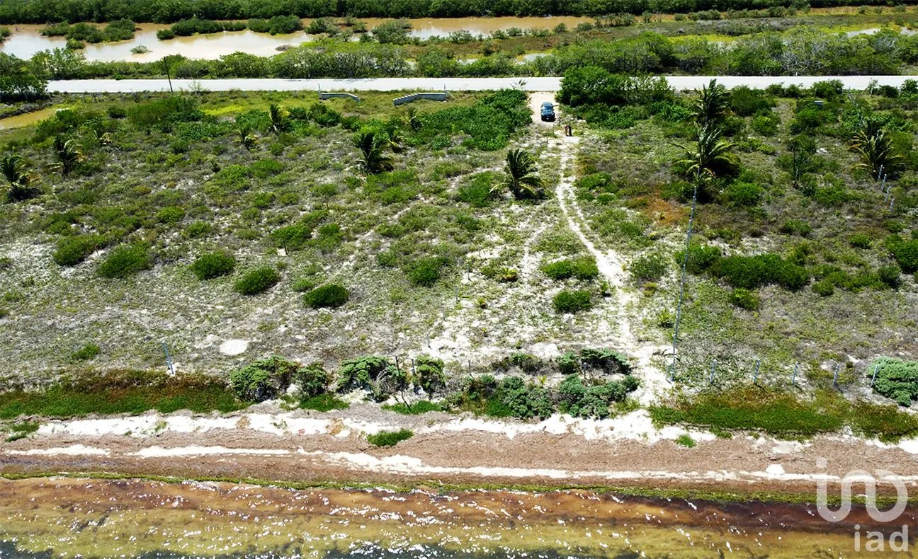 Terreno en Venta en Santa Clara, Dzidzantún, Yucatán | NEX-256421 | iad México | Foto 19 de 19