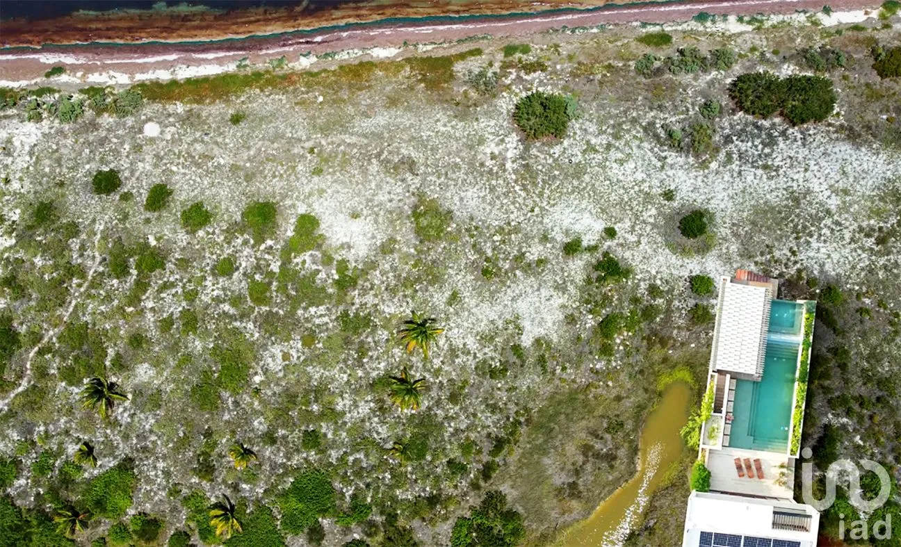 Terreno en Venta en Santa Clara, Dzidzantún, Yucatán | NEX-256421 | iad México | Foto 8 de 19