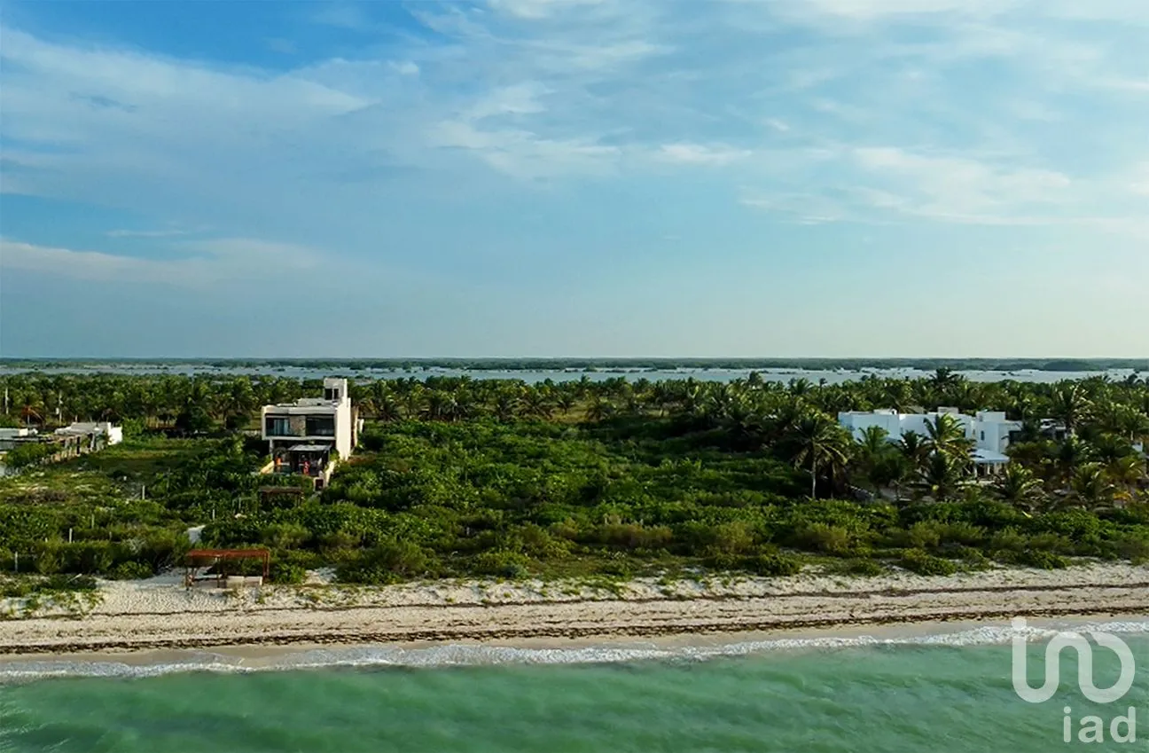 Terreno en Venta en Santa Clara, Dzidzantún, Yucatán | NEX-256421 | iad México | Foto 10 de 19
