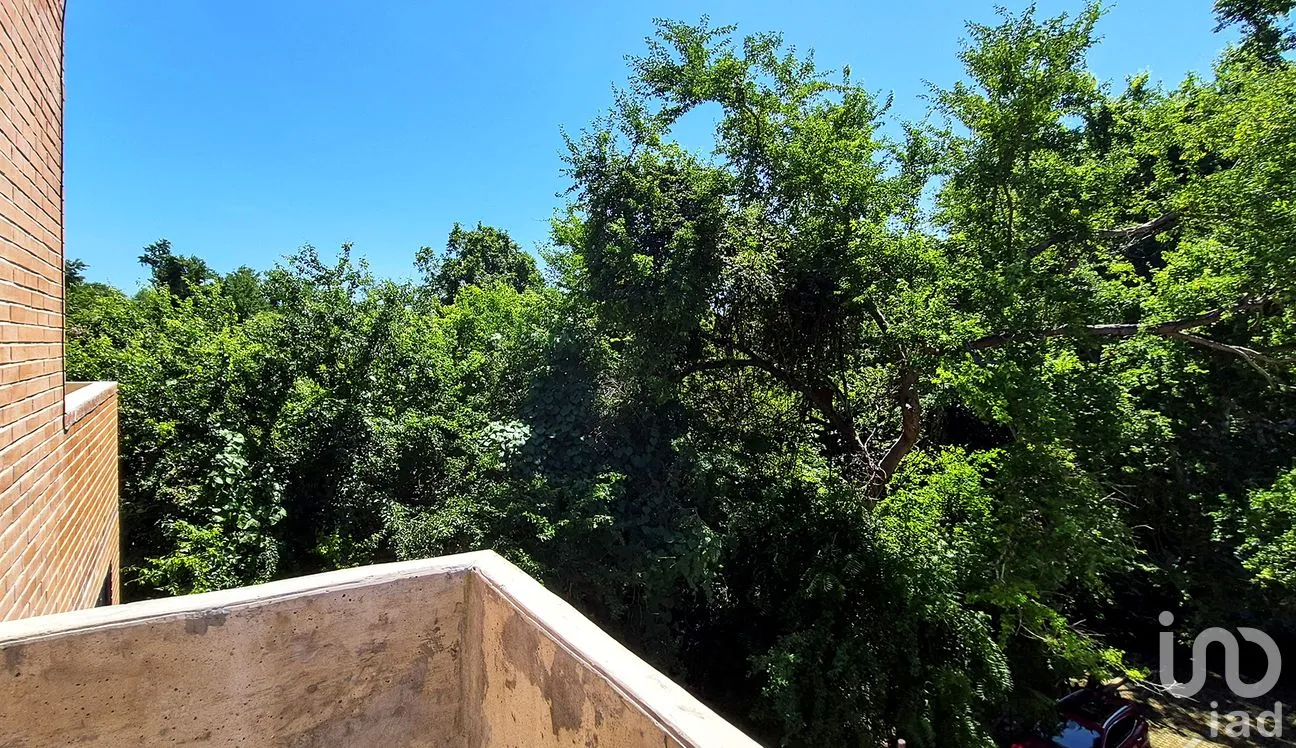 Departamento en Venta en Puerto Escondido (Puerto Escondido), San Pedro Mixtepec -Dto. 22 -, Oaxaca | NEX-262501 | iad México | Foto 21 de 44