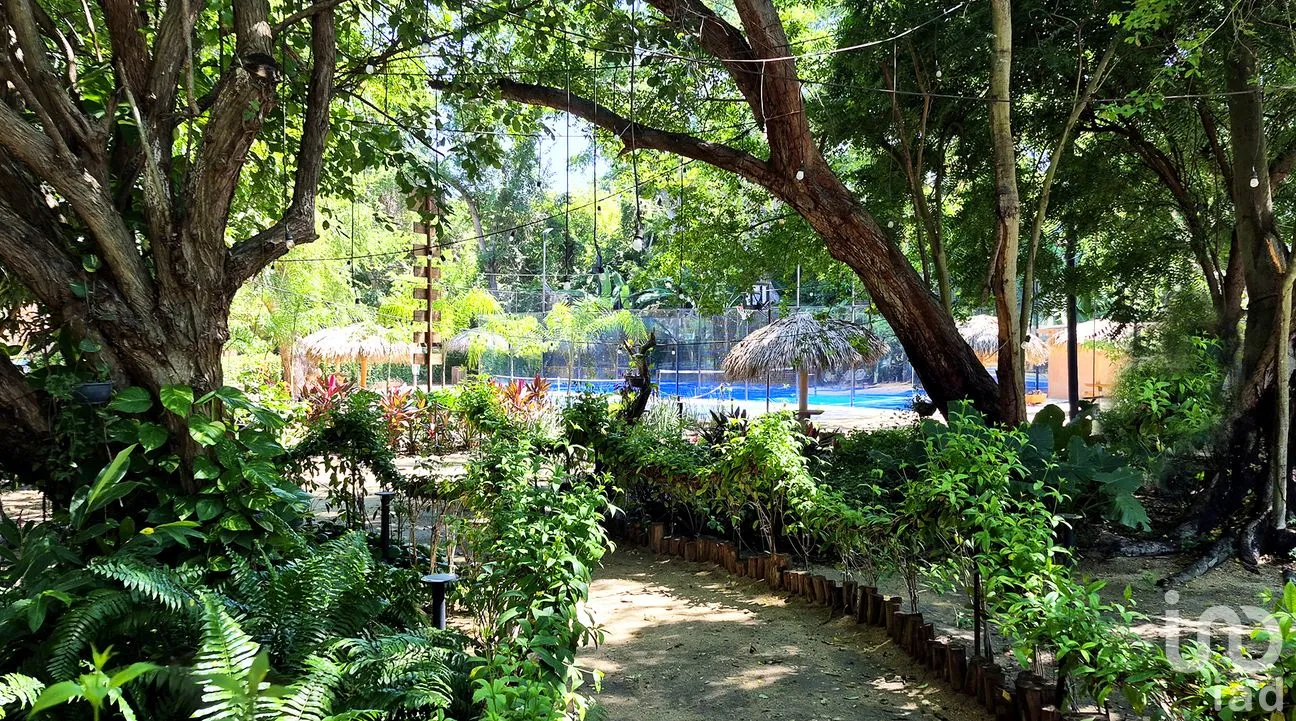 Departamento en Venta en Puerto Escondido (Puerto Escondido), San Pedro Mixtepec -Dto. 22 -, Oaxaca | NEX-262501 | iad México | Foto 32 de 44