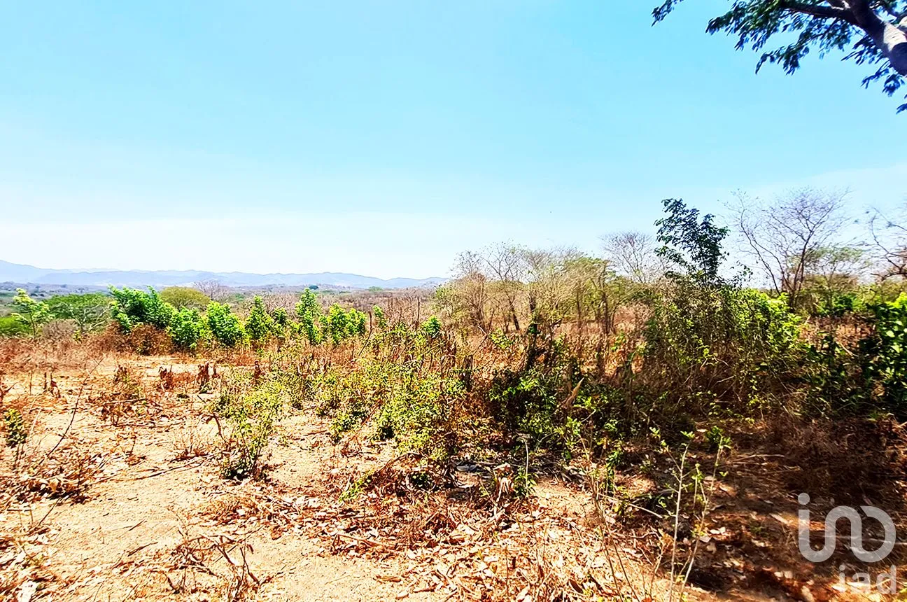 Terreno en Venta en Nuevo Amanecer, San Pedro Mixtepec -Dto. 22 -, Oaxaca | NEX-262613 | iad México | Foto 12 de 13