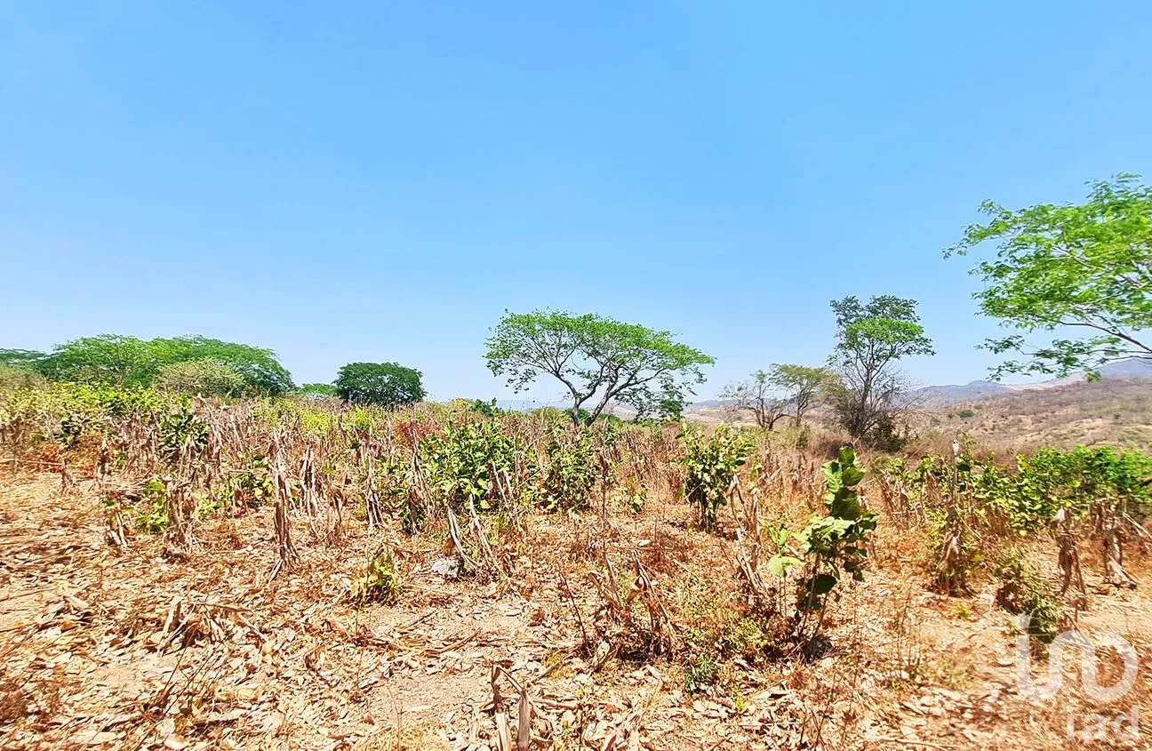 Terreno en Venta en Nuevo Amanecer, San Pedro Mixtepec -Dto. 22 -, Oaxaca | NEX-262613 | iad México | Foto 13 de 13