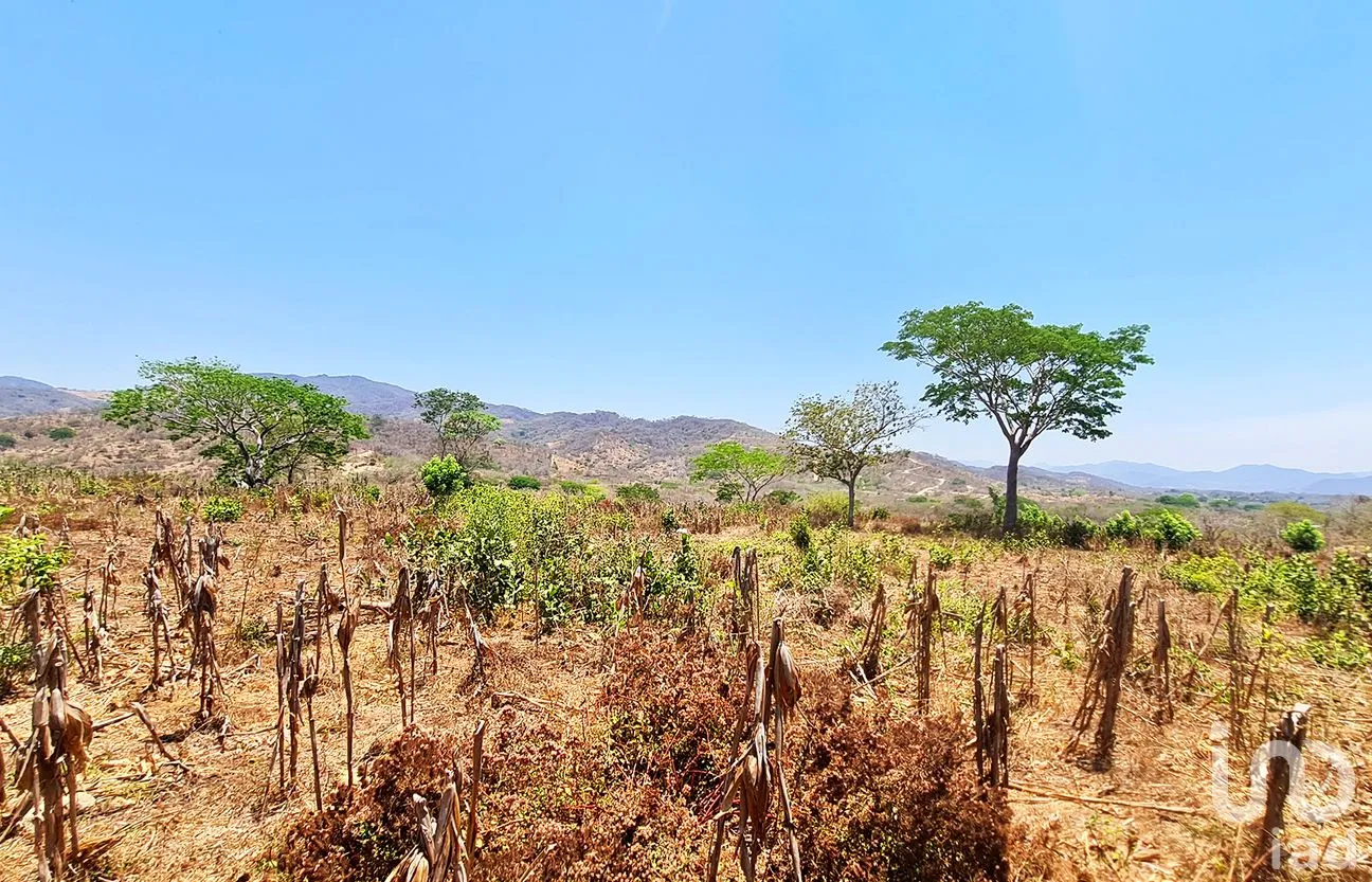 Terreno en Venta en Nuevo Amanecer, San Pedro Mixtepec -Dto. 22 -, Oaxaca | NEX-262613 | iad México | Foto 3 de 13