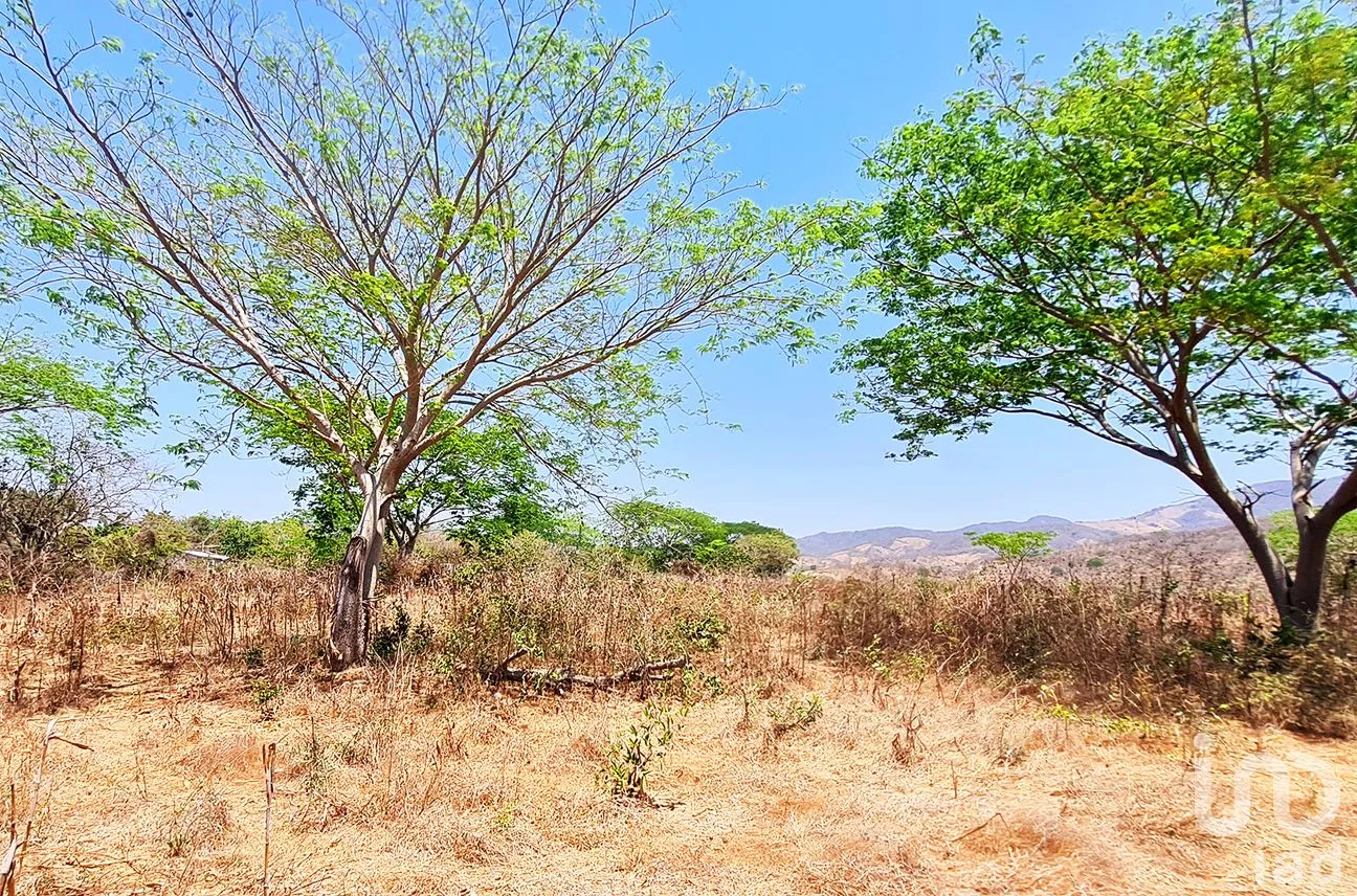 Terreno en Venta en Nuevo Amanecer, San Pedro Mixtepec -Dto. 22 -, Oaxaca | NEX-262613 | iad México | Foto 4 de 13