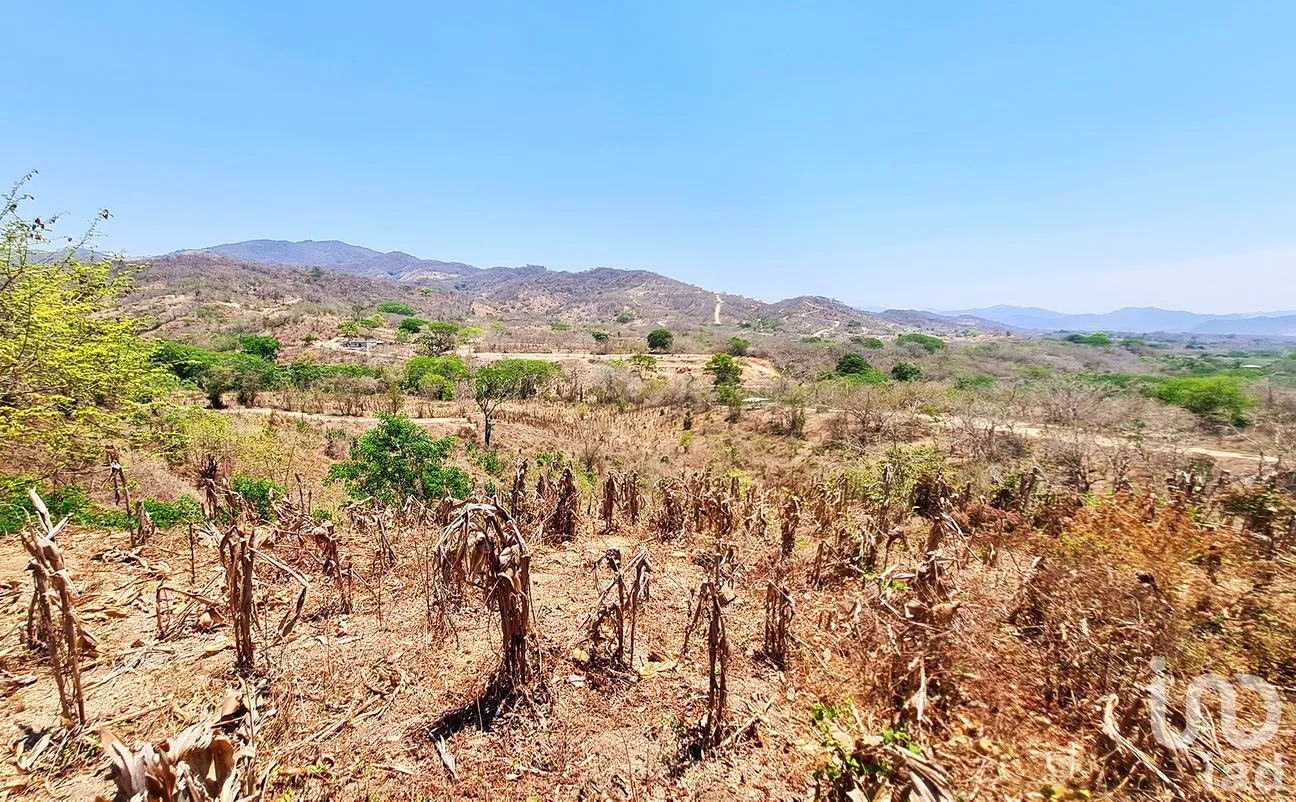 Terreno en Venta en Nuevo Amanecer, San Pedro Mixtepec -Dto. 22 -, Oaxaca | NEX-262613 | iad México | Foto 6 de 13