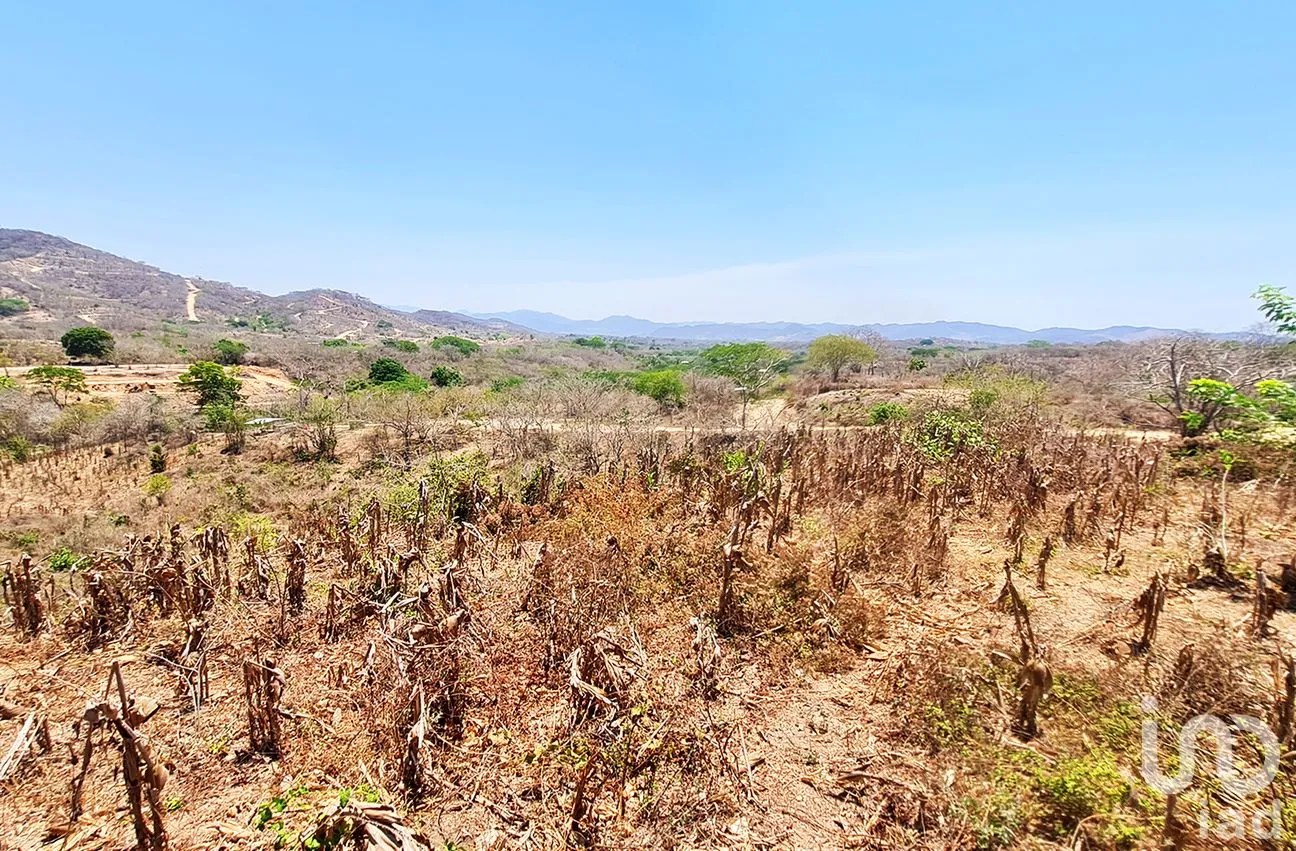 Terreno en Venta en Nuevo Amanecer, San Pedro Mixtepec -Dto. 22 -, Oaxaca | NEX-262613 | iad México | Foto 7 de 13