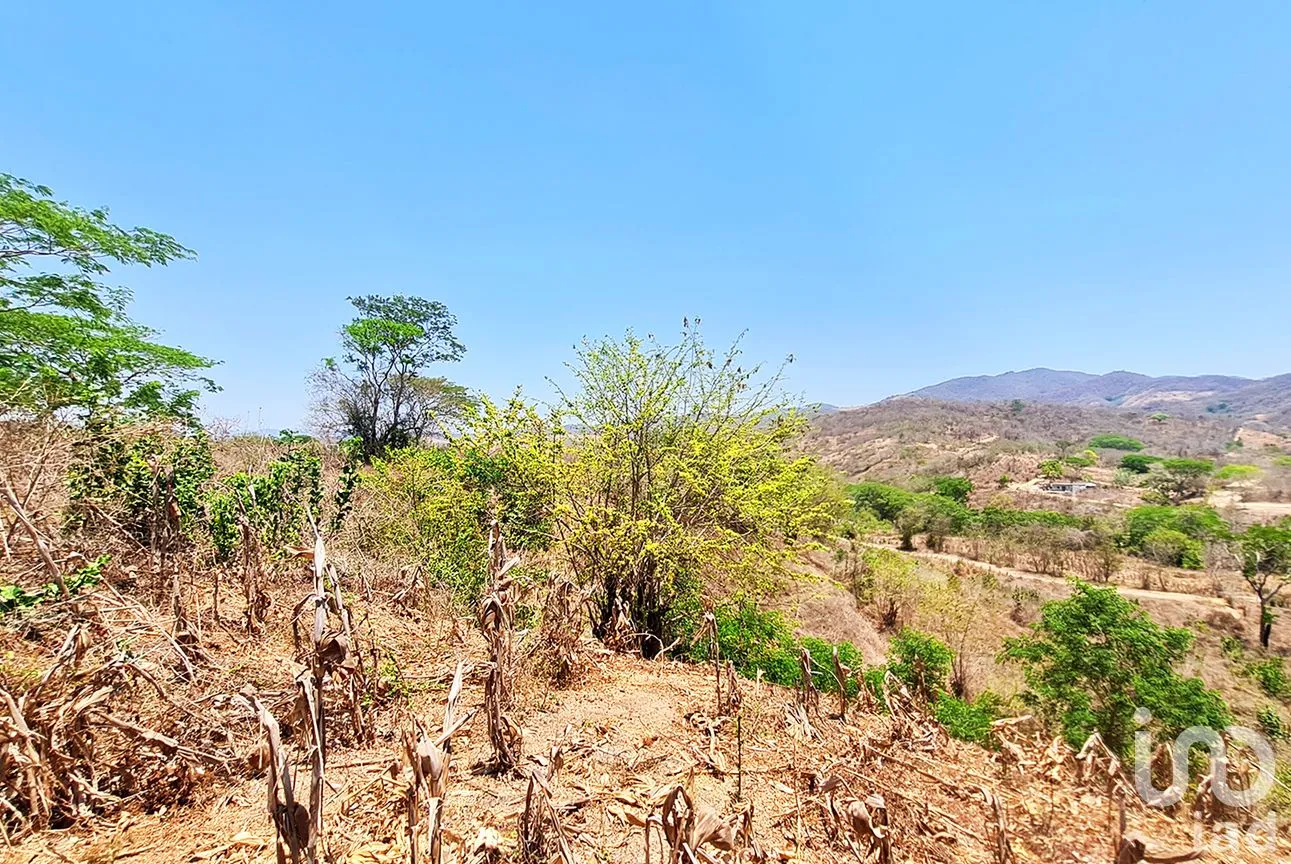 Terreno en Venta en Nuevo Amanecer, San Pedro Mixtepec -Dto. 22 -, Oaxaca | NEX-262613 | iad México | Foto 8 de 13