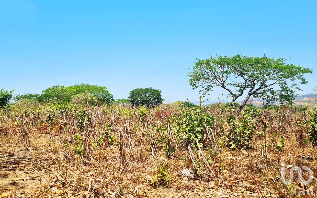 Terreno en Venta en Nuevo Amanecer, San Pedro Mixtepec -Dto. 22 -, Oaxaca | NEX-262613 | iad México | Foto 9 de 13