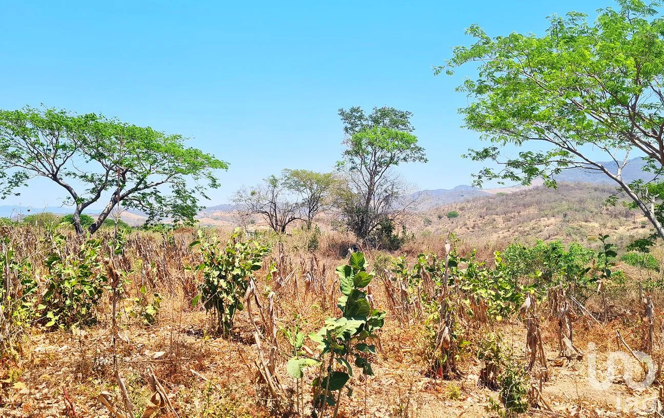 Terreno en Venta en Nuevo Amanecer, San Pedro Mixtepec -Dto. 22 -, Oaxaca | NEX-262613 | iad México | Foto 10 de 13