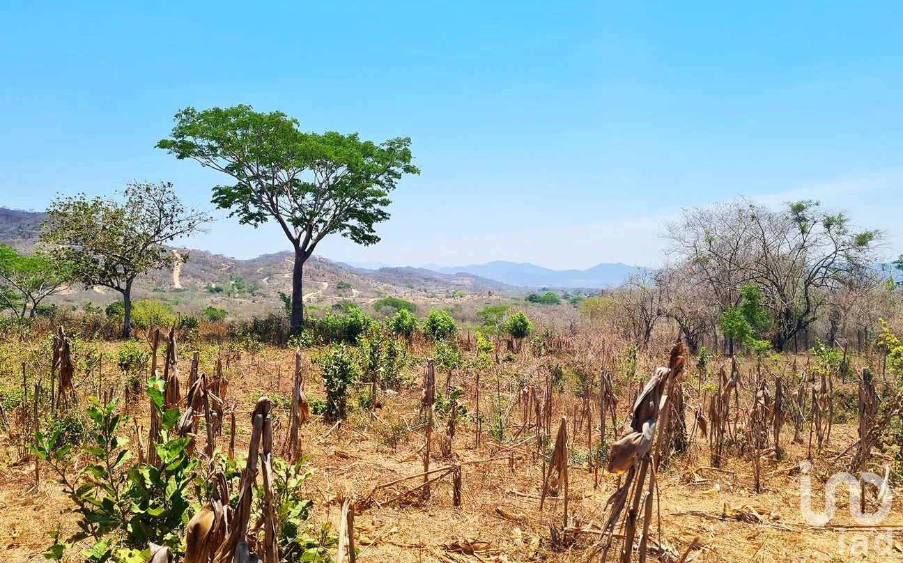 Terreno en Venta en Nuevo Amanecer, San Pedro Mixtepec -Dto. 22 -, Oaxaca | NEX-262613 | iad México | Foto 1 de 13