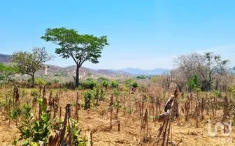 NEX-262613 - Terreno en Venta en Nuevo Amanecer, CP 71985, Oaxaca.