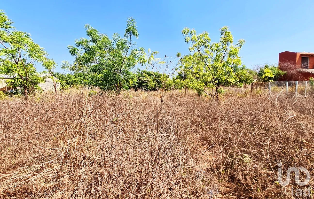 Terreno en Venta en La Barra de Colotepec, Santa María Colotepec, Oaxaca | NEX-263405 | iad México | Foto 5 de 9