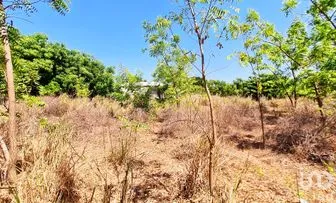 NEX-263405 - Terreno en Venta en La Barra de Colotepec, CP 70938, Oaxaca.