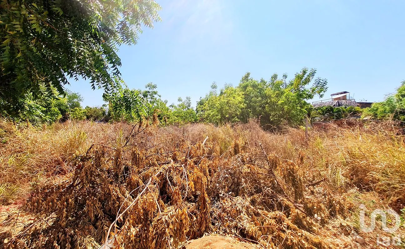 Terreno en Venta en La Barra de Colotepec, Santa María Colotepec, Oaxaca | NEX-263406 | iad México | Foto 3 de 9