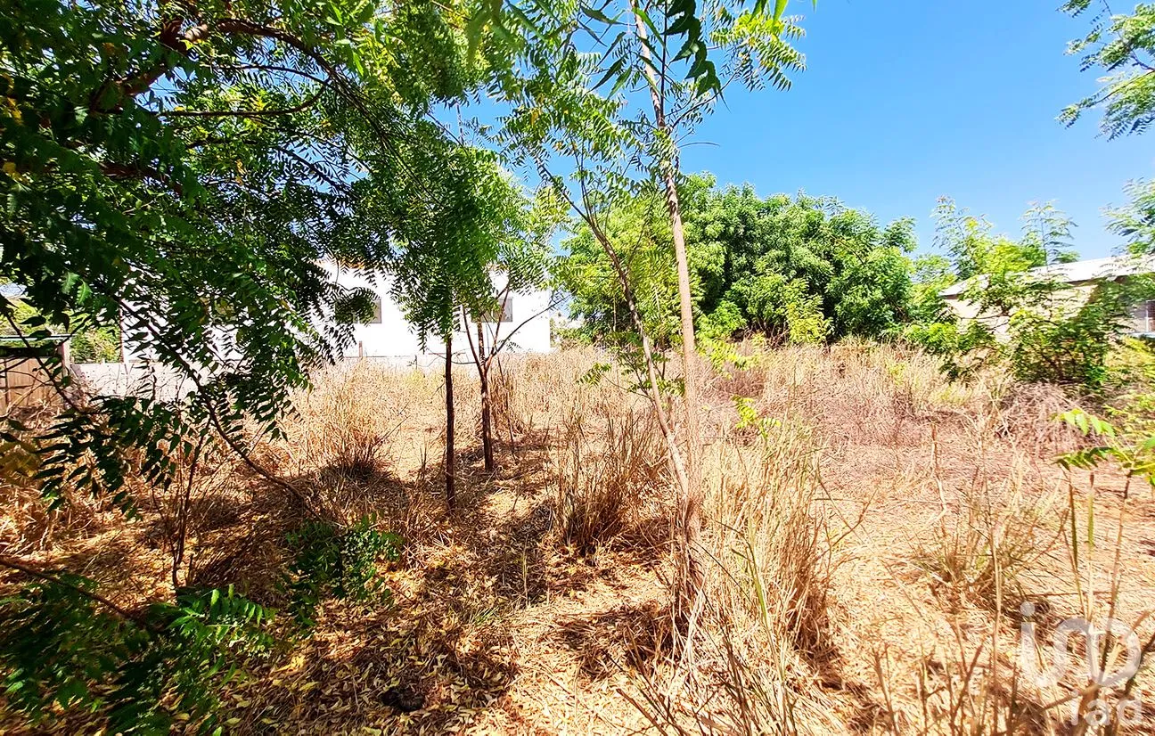 Terreno en Venta en La Barra de Colotepec, Santa María Colotepec, Oaxaca | NEX-263406 | iad México | Foto 1 de 9