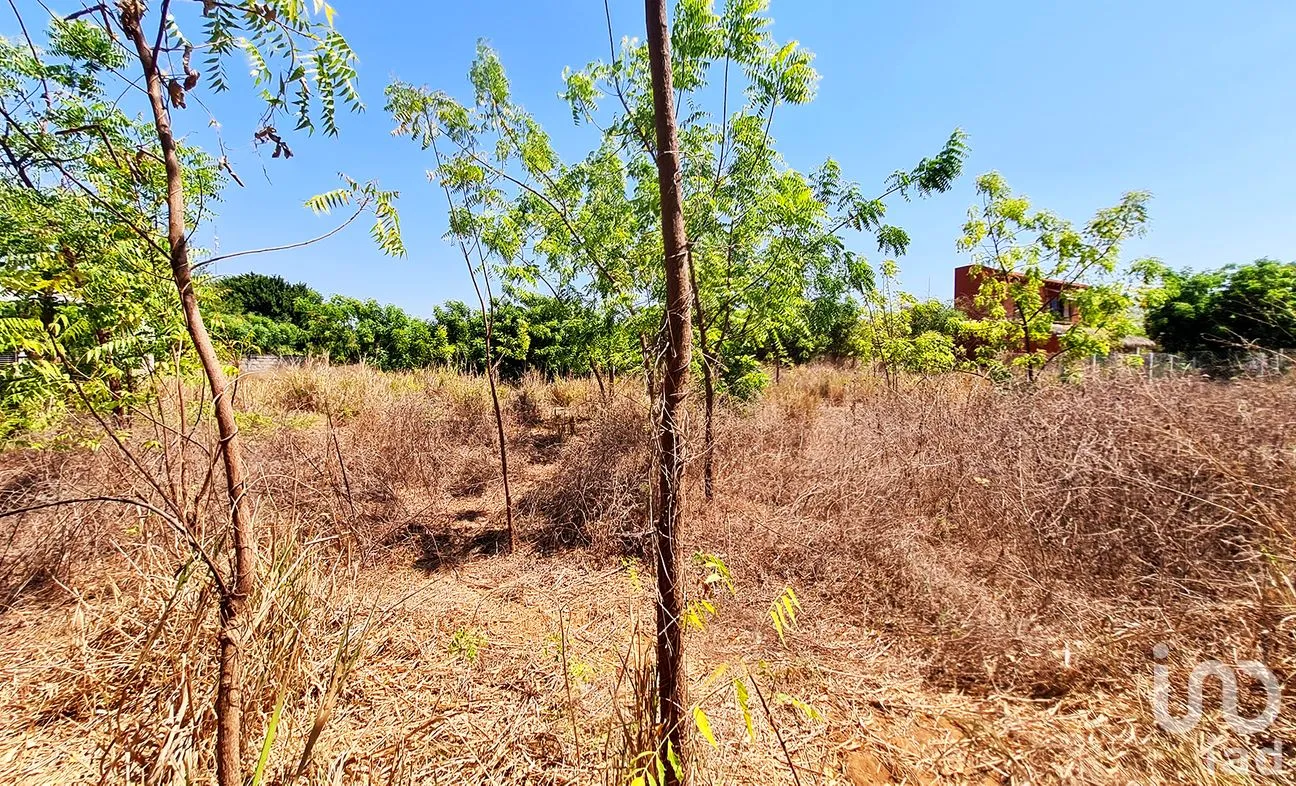 Terreno en Venta en La Barra de Colotepec, Santa María Colotepec, Oaxaca | NEX-263408 | iad México | Foto 3 de 9