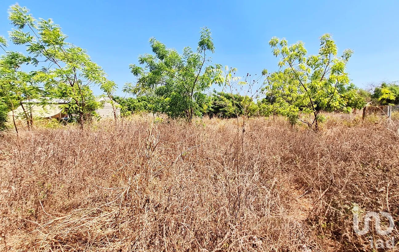 Terreno en Venta en La Barra de Colotepec, Santa María Colotepec, Oaxaca | NEX-263408 | iad México | Foto 7 de 9