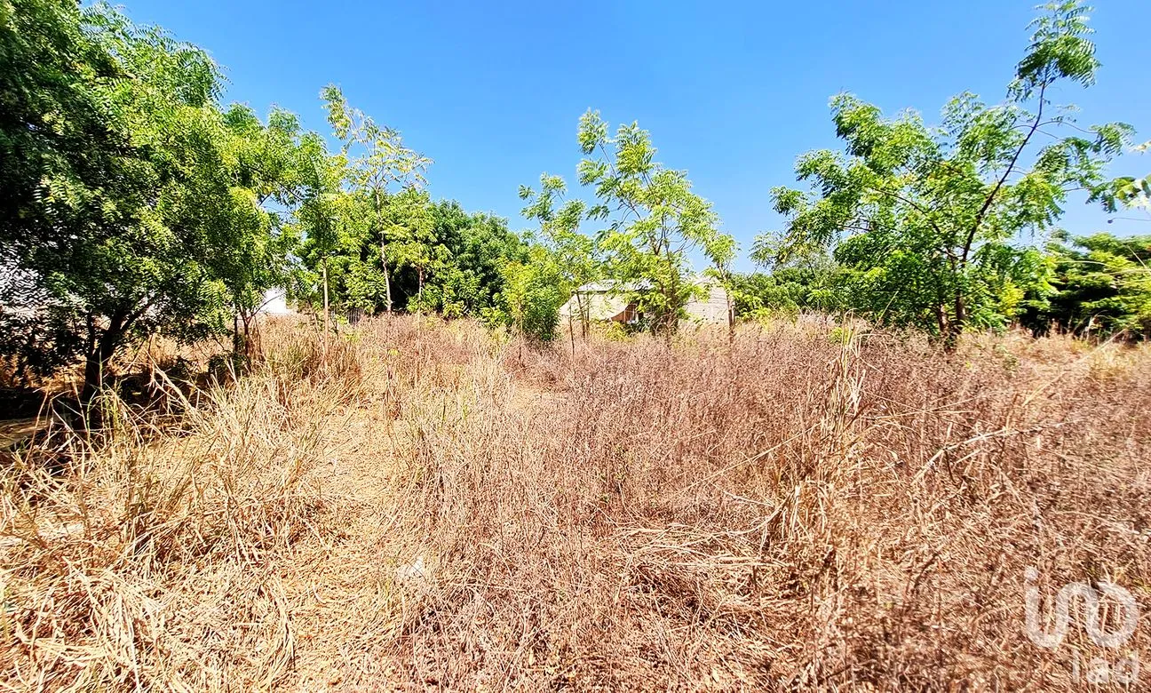 Terreno en Venta en La Barra de Colotepec, Santa María Colotepec, Oaxaca | NEX-263408 | iad México | Foto 8 de 9