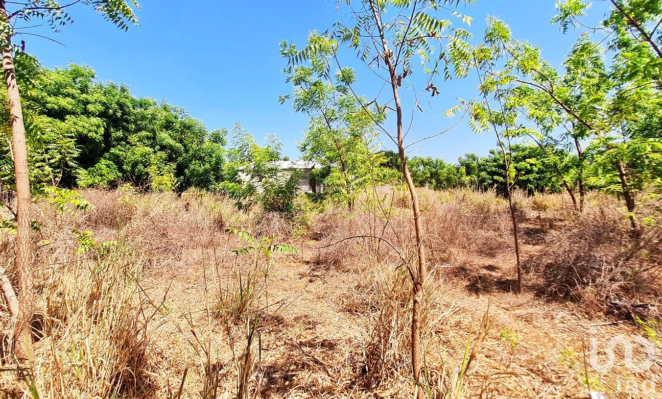 Terreno en Venta en La Barra de Colotepec, Santa María Colotepec, Oaxaca | NEX-263411 | iad México | Foto 5 de 9