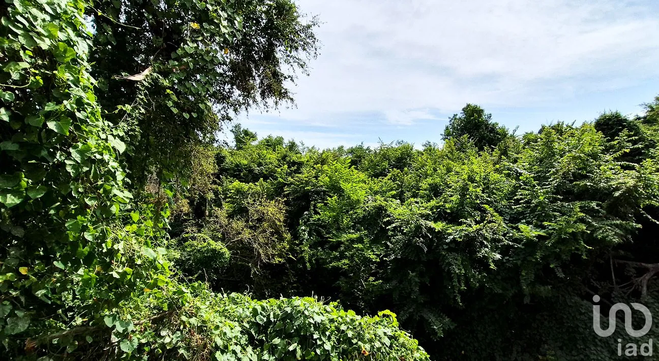 Departamento en Venta en Puerto Escondido (Puerto Escondido), San Pedro Mixtepec -Dto. 22 -, Oaxaca | NEX-264999 | iad México | Foto 9 de 31